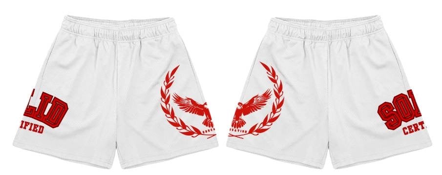 S.O.L.I.D Mesh Shorts