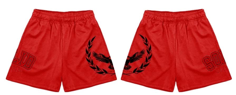 S.O.L.I.D Mesh Shorts