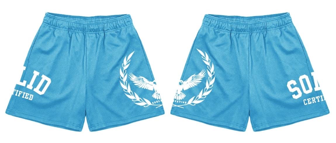 S.O.L.I.D Mesh Shorts