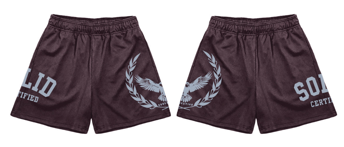 S.O.L.I.D Mesh Shorts