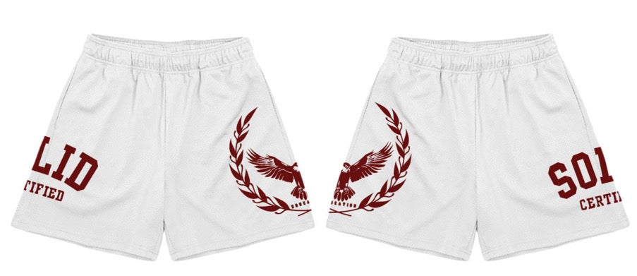 S.O.L.I.D Mesh Shorts